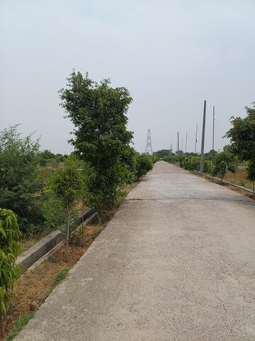  Plot For Sale in Jewar