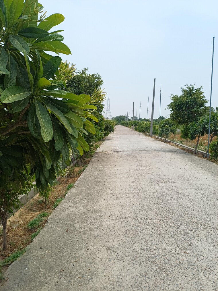 Exterior View, jewar  234 Sq.Yd. Plot In Jewar Greater Noida 8872822