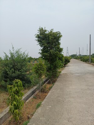  Plot – Garden View at Jewar - for Sale