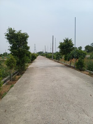  Plot – Exterior View View at Jewar - for Sale