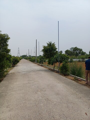  Plot For Sale in Jewar