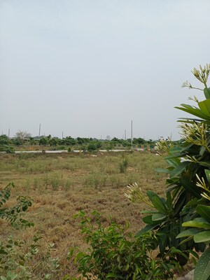  Plot – Garden View at Jewar - for Sale