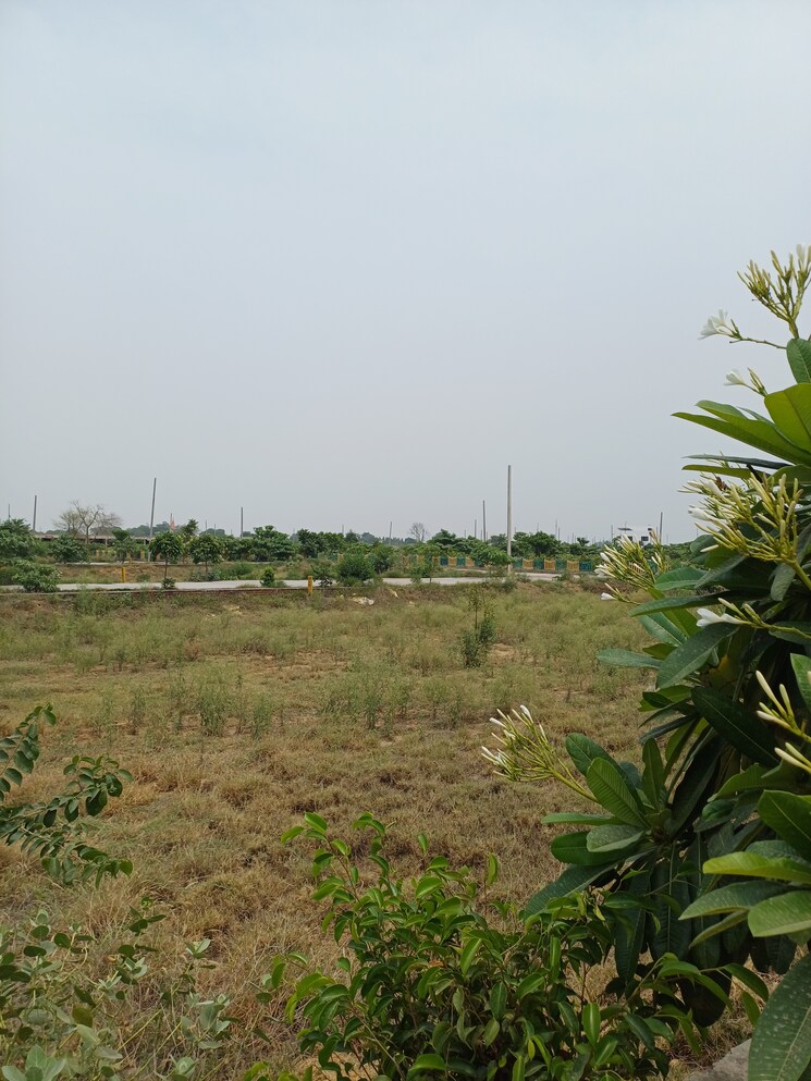 Garden, jewar  236 Sq.Yd. Plot In Jewar Greater Noida 8872837