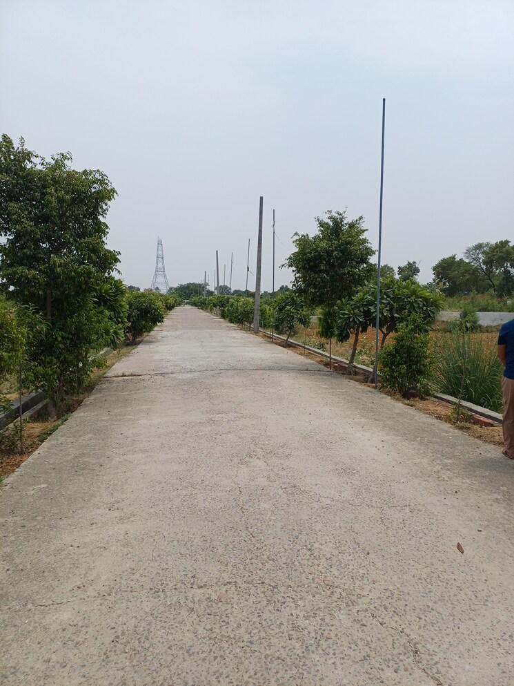 Exterior View, jewar  236 Sq.Yd. Plot In Jewar Greater Noida 8872837