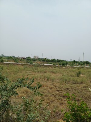  Plot – Garden View at Jewar - for Sale