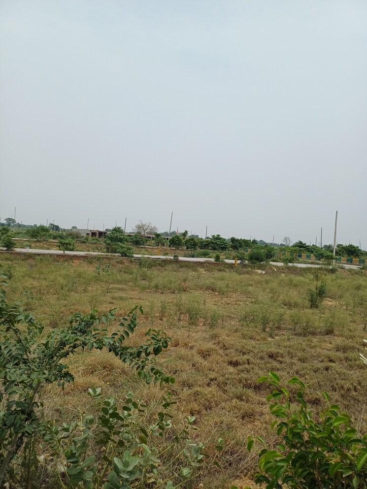 Garden, jewar  236 Sq.Yd. Plot In Jewar Greater Noida 8872837