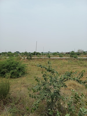  Plot – Garden View at Jewar - for Sale