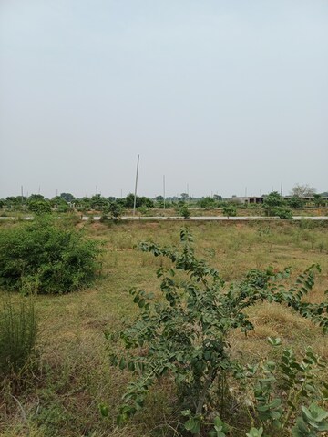  Plot – Garden View at Jewar - for Sale