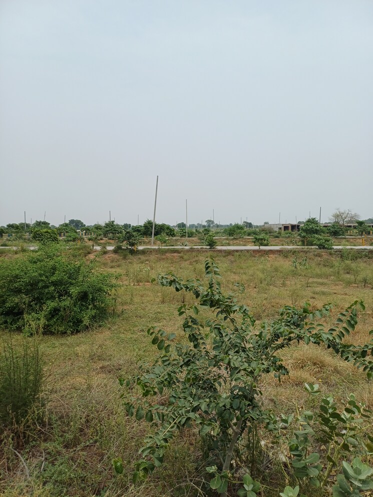 Garden, jewar  237 Sq.Yd. Plot In Jewar Greater Noida 8872841