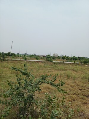 Plot Area in  Plot at Jewar – for Sale