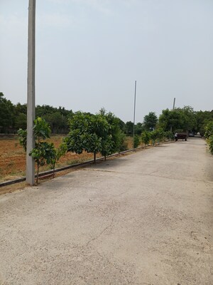  Plot For Sale in Jewar