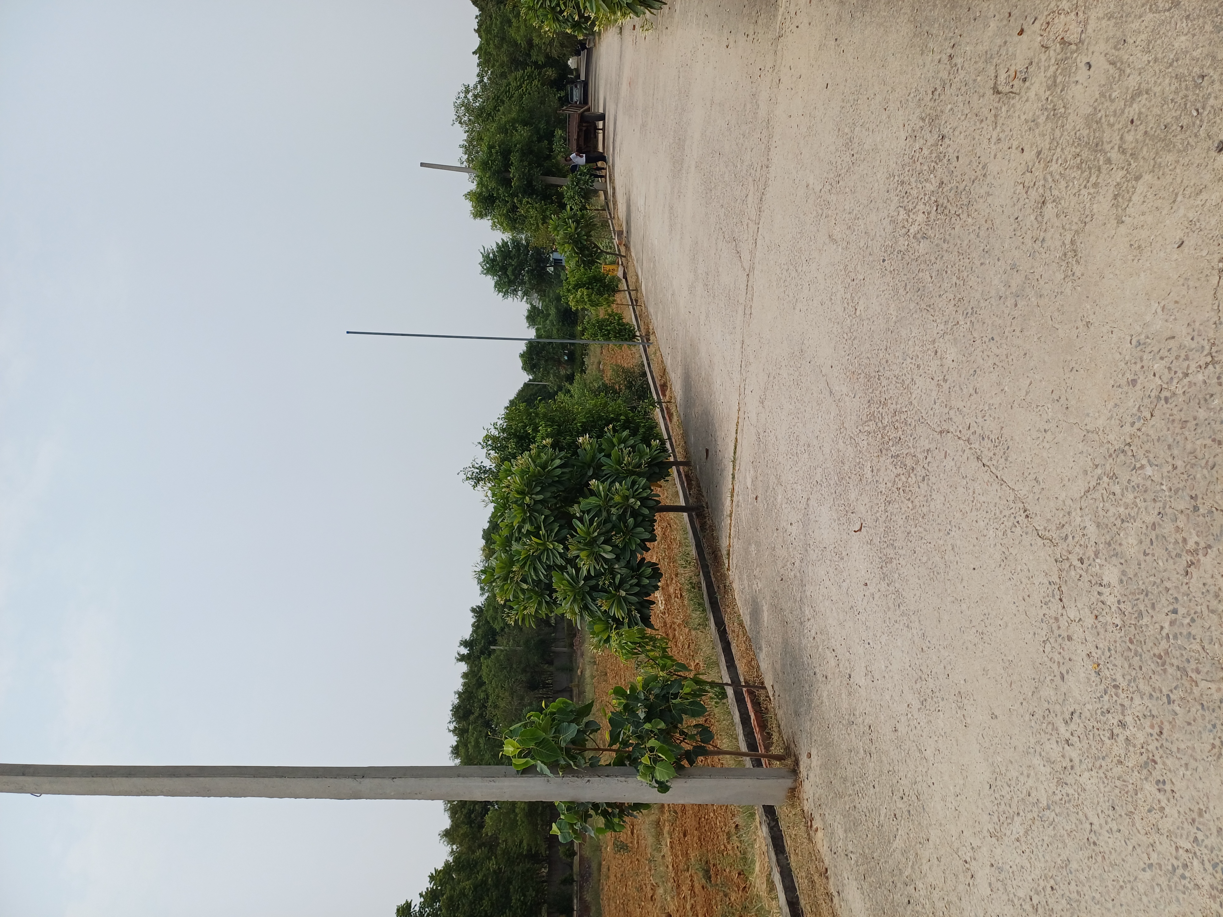 Plot For Sale in Harit City 