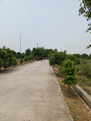  Plot – Exterior View View at Jewar - for Sale