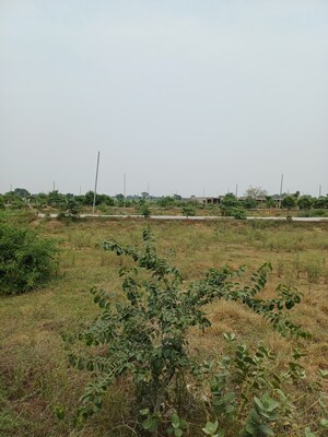 Plot – Garden View at Jewar - for Sale
