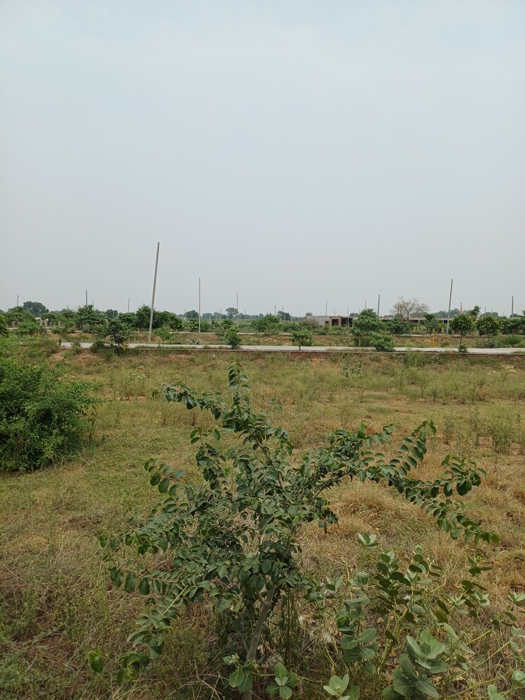 Garden, jewar  238 Sq.Yd. Plot In Jewar Greater Noida 8872847