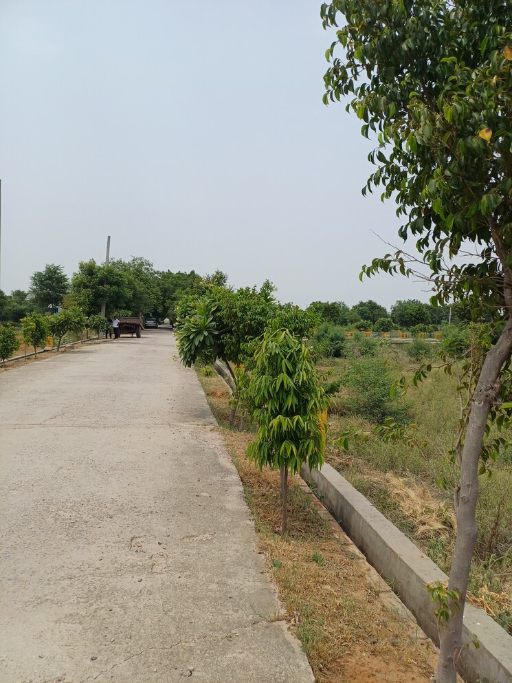 Garden, jewar  238 Sq.Yd. Plot In Jewar Greater Noida 8872847
