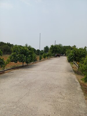  Plot For Sale in Jewar