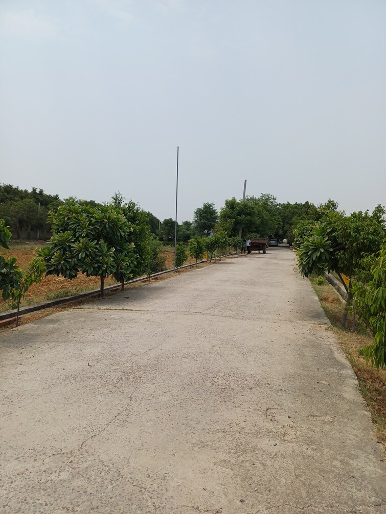 Cover Image, jewar  238 Sq.Yd. Plot In Jewar Greater Noida 8872847