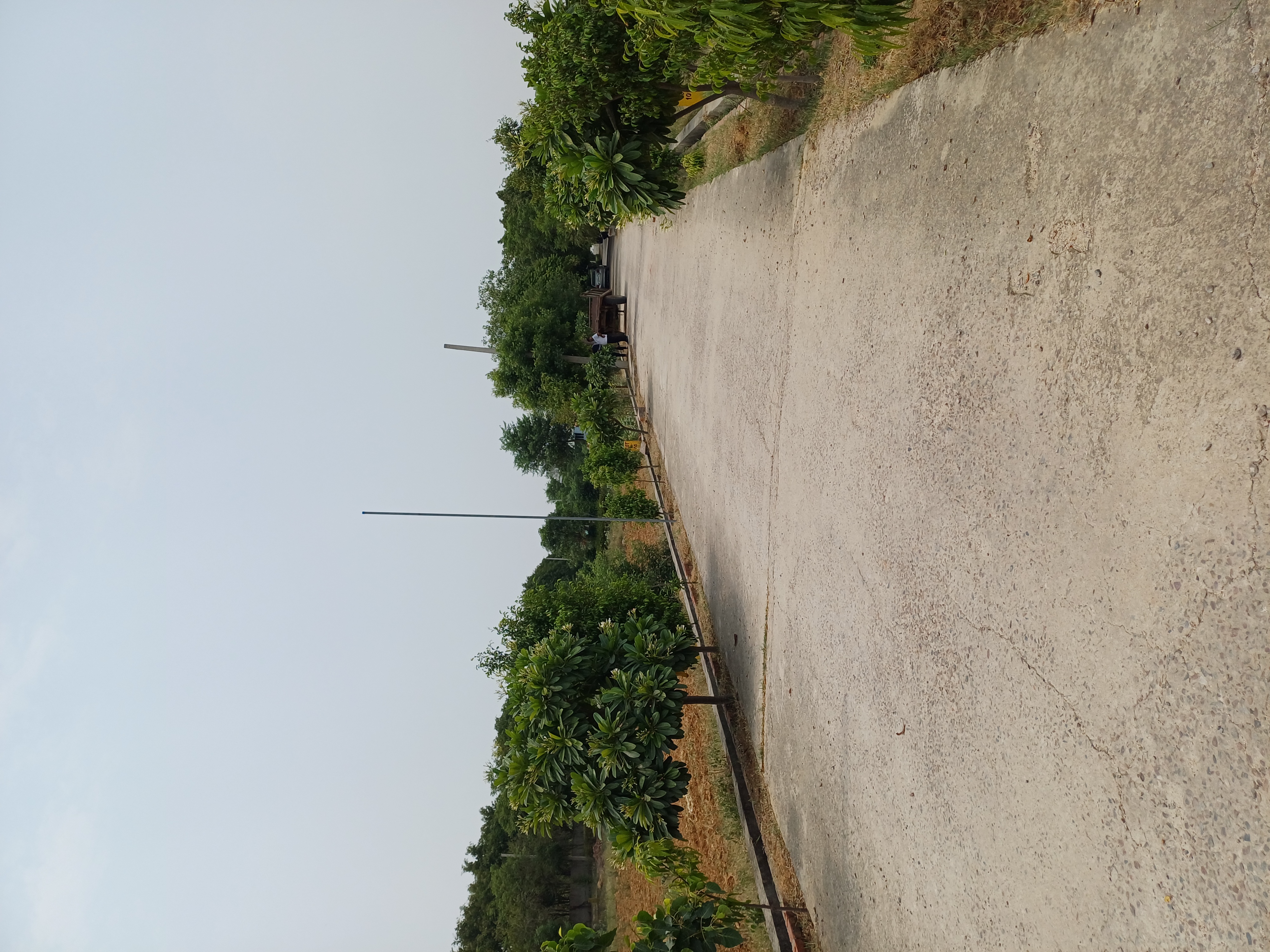 Plot For Sale in Harit City 