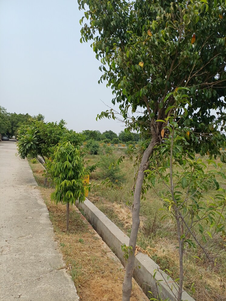 Garden, jewar  238 Sq.Yd. Plot In Jewar Greater Noida 8872847