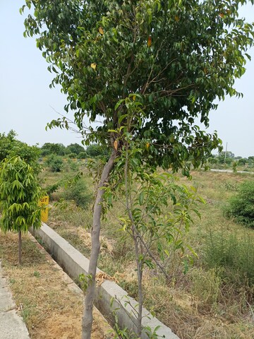  Plot – Garden View at Jewar - for Sale