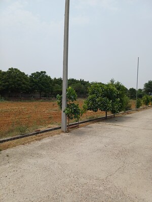  Plot For Sale in Jewar