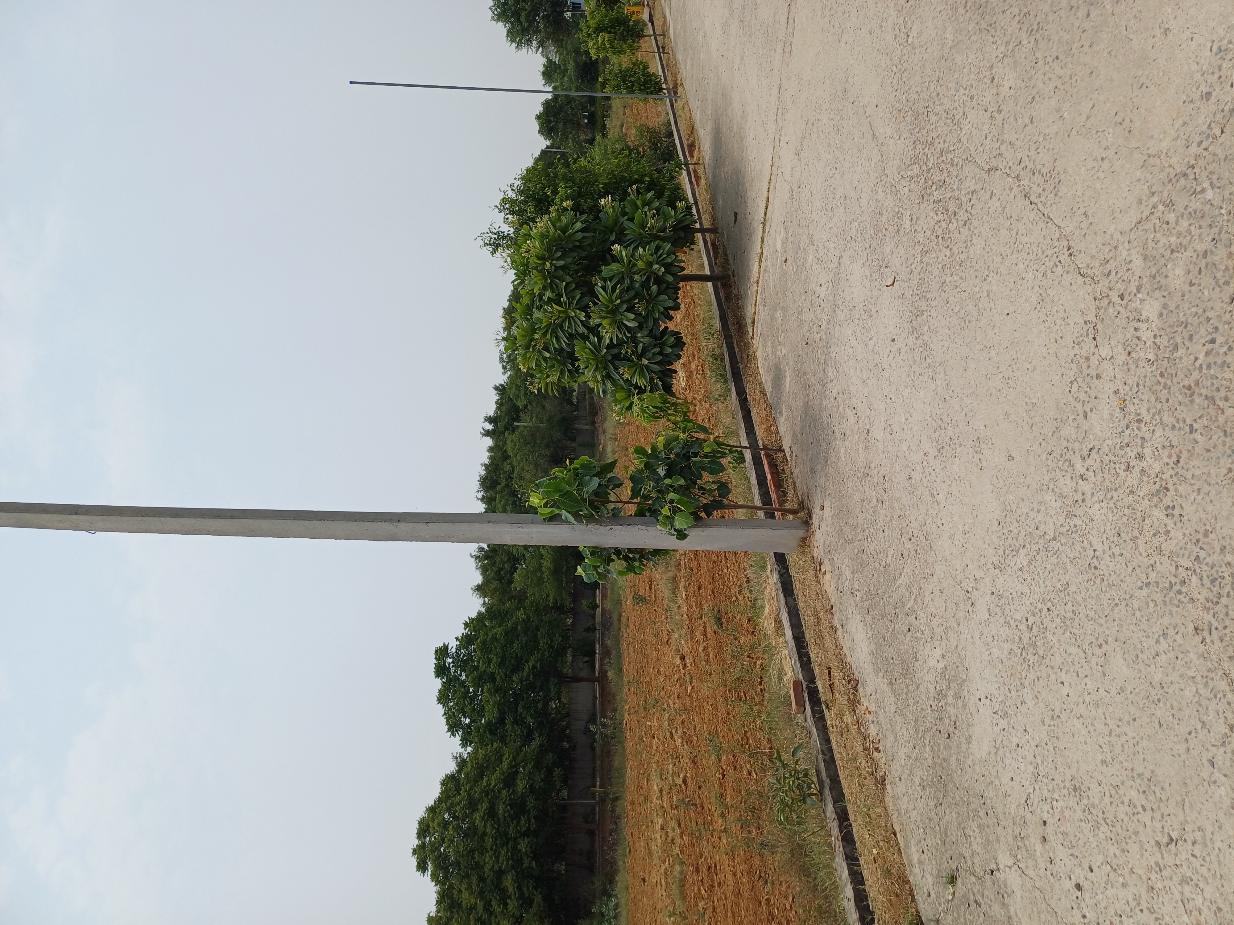 Plot For Sale in Harit City 