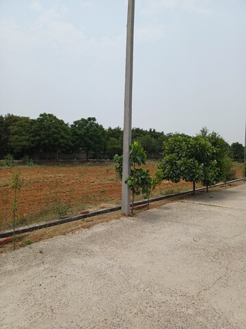  Plot – Exterior View View at Jewar - for Sale