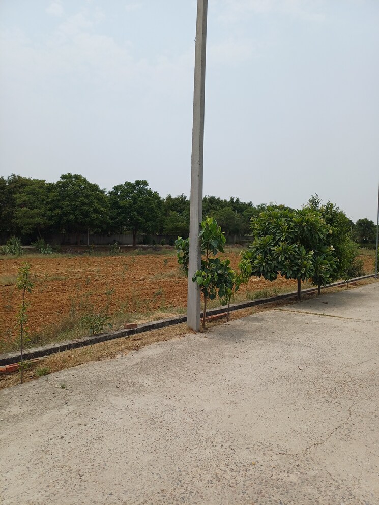 Exterior View, jewar  239 Sq.Yd. Plot In Jewar Greater Noida 8872850