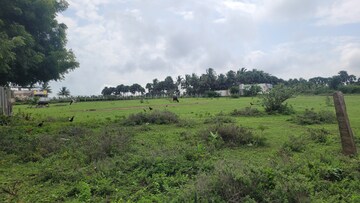 Plot Area in  Plot at Othakalmandapam – for Sale
