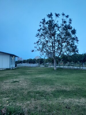  Plot – Exterior View View at JMS The Nation, Sector 95 - for Sale