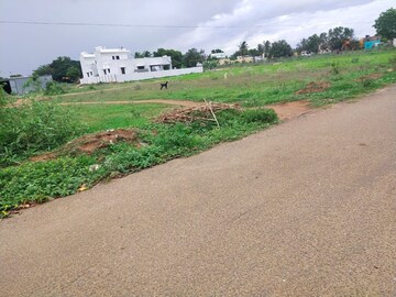  Plot For Sale in Chinniampalayam
