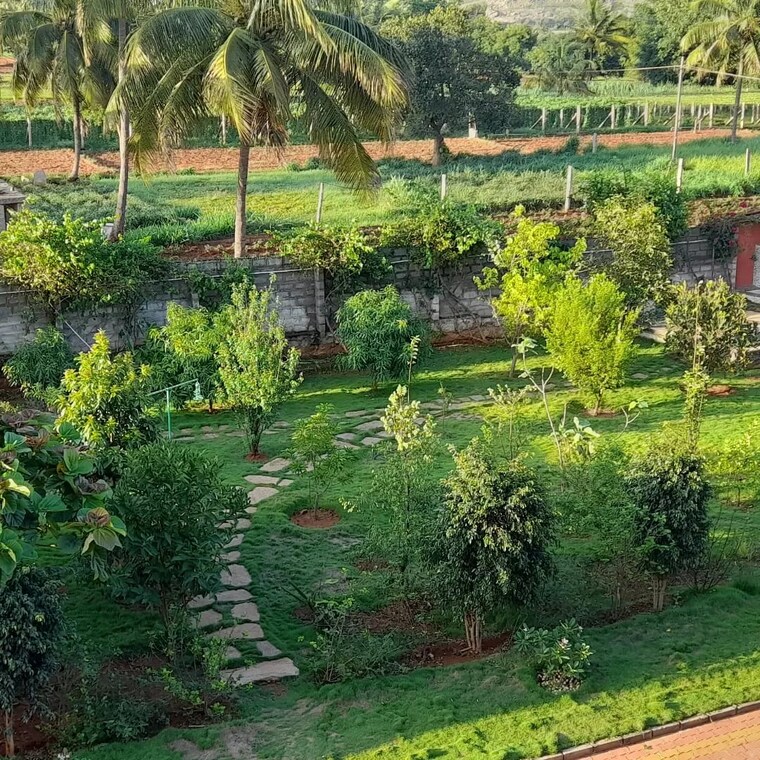 Garden, vidyaranyapura Commercial Land 4 Acre In Vidyaranyapura Bangalore 8873338