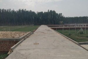  Plot For Sale in Yash Greens Apartments, Shimla Road