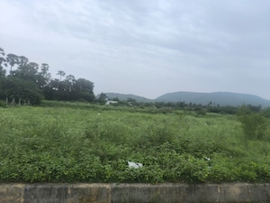 Plot Area in  Plot at Chippada – for Sale