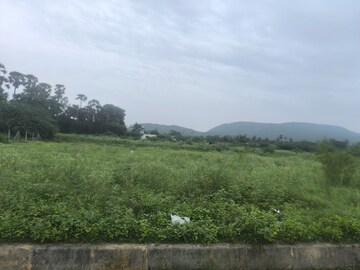 Plot Area in  Plot at Chippada – for Sale