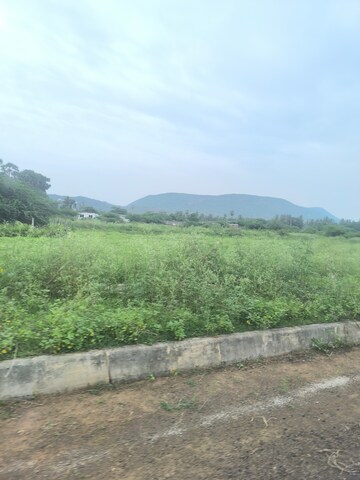 Plot Area in  Plot at Chippada – for Sale