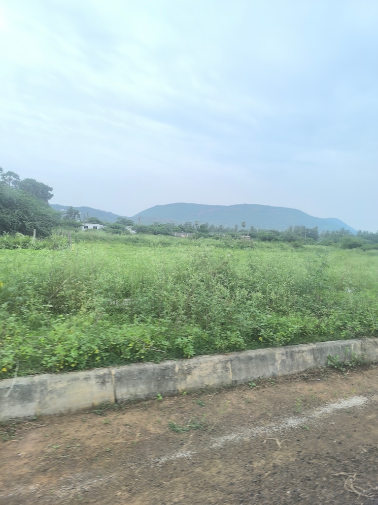 undefined, chippada  200 Sq.Yd. Plot In Chippada Vizag 8873417