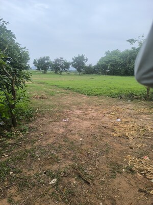 Plot Area in  Plot at Chippada – for Sale