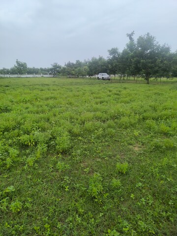 Plot Area in  Plot at Chippada – for Sale