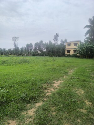  Plot – Garden View at Chippada - for Sale