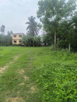  Plot – Garden View at Chippada - for Sale