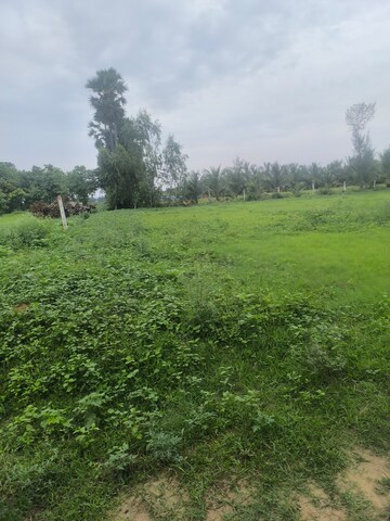  Plot – Garden View at Chippada - for Sale