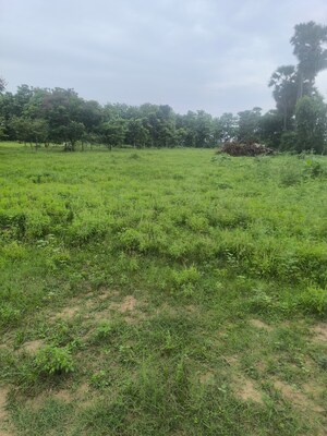 Plot Area in  Plot at Chippada – for Sale