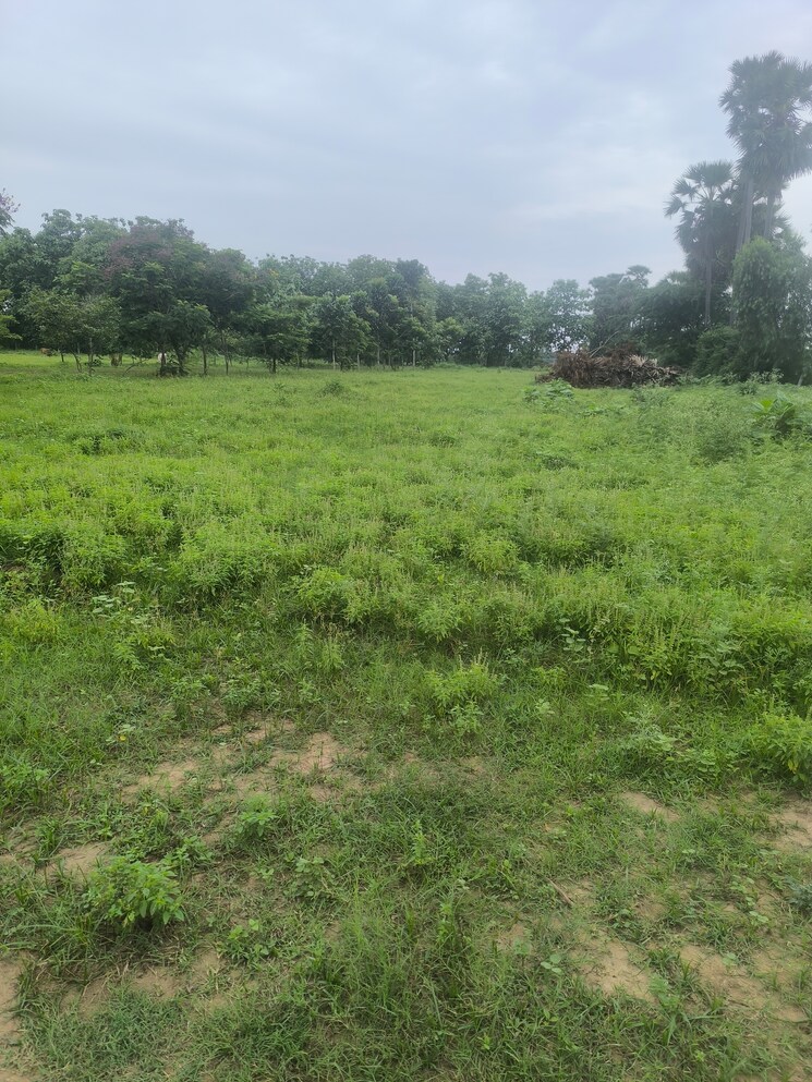 undefined, chippada  200 Sq.Yd. Plot In Chippada Vizag 8873417