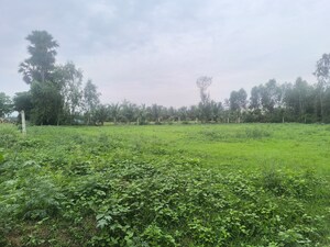 Plot Area in  Plot at Chippada – for Sale