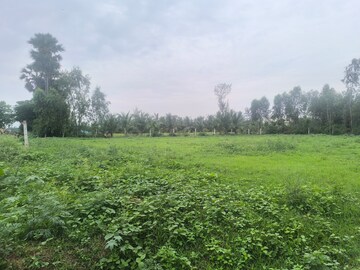 Plot Area in  Plot at Chippada – for Sale