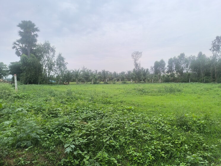 undefined, chippada  200 Sq.Yd. Plot In Chippada Vizag 8873417