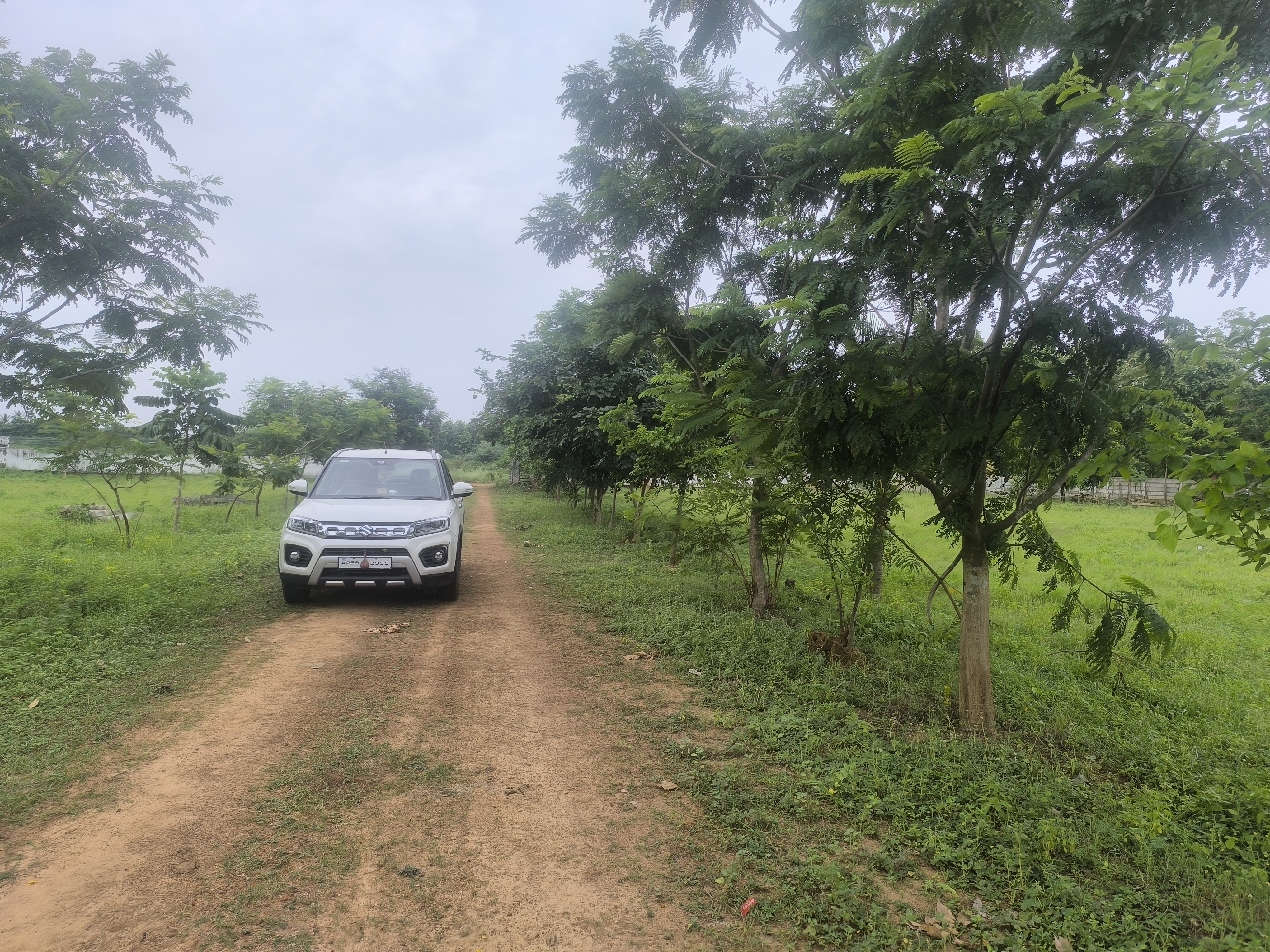 Plot For Sale in Chippada