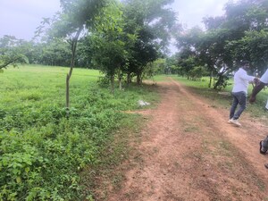 Plot Area in  Plot at Chippada – for Sale